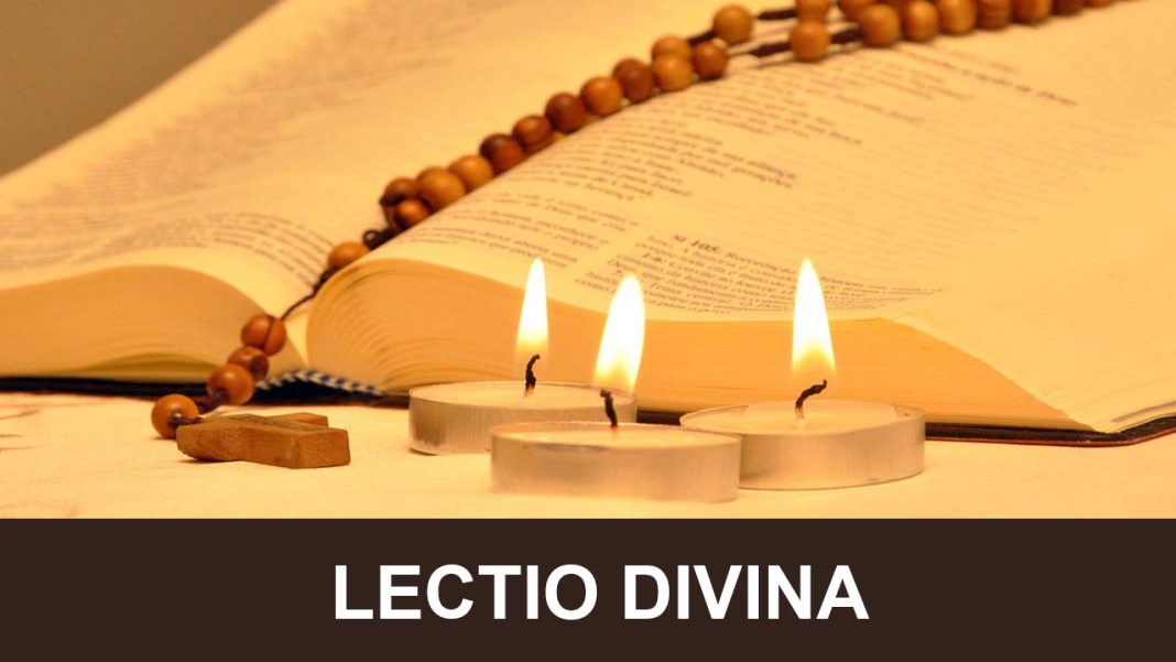 Lectio Divina O Lectura Orante De La Biblia Camino