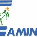 Logo de Camino 2022