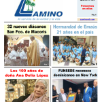 portada 19