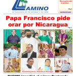 EDICION 7 DE ENEOR