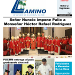 PORTADA 29