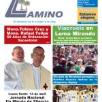 portada camino