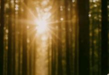 ¿CÓMO NO CREER EN DIOS?