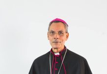 Gracias Monseñor Fello