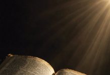 En diciembre, reflexionemos