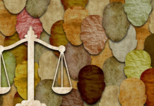 Indignación Nacional