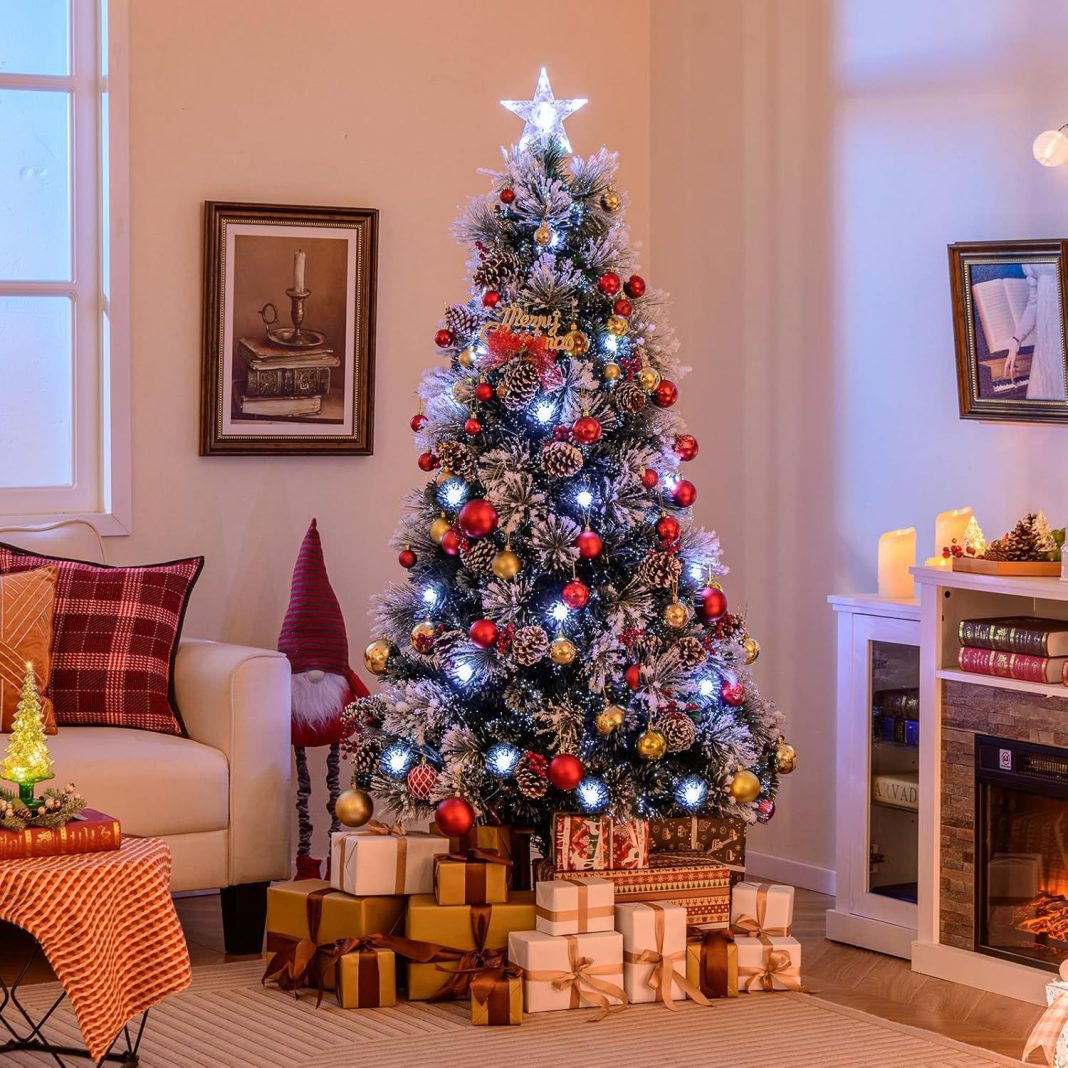 WhatsApp Image 2025-12-03 at 11.07.34 AM