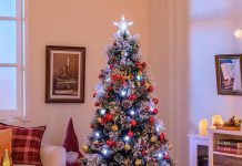 SE ACERCA LA NAVIDAD 2025