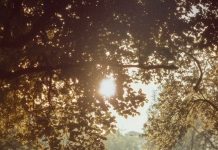 Papa León XIV, nomofobia y silencio