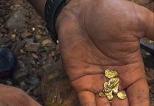 Examina la oración y descubrirás su oro