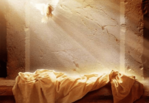 Bendito el que viene en nombre del Señor