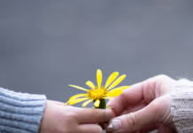 Después de la cruz, la esperanza