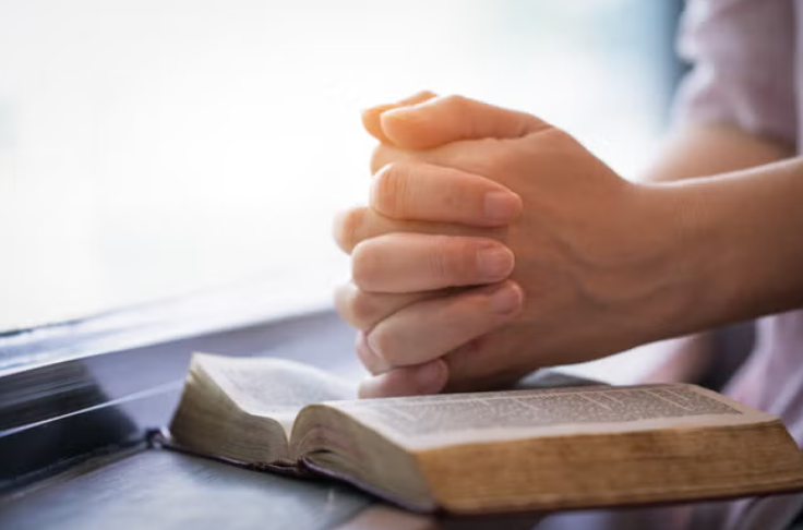 Peregrinando a campo traviesa