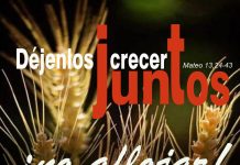 XII Domingo del Tiempo Ordinario