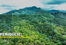 Periquete: Día del Medio Ambiente