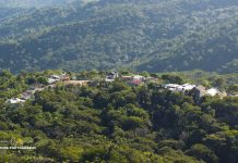 La cordillera Septentrional: Degradación silenciosa