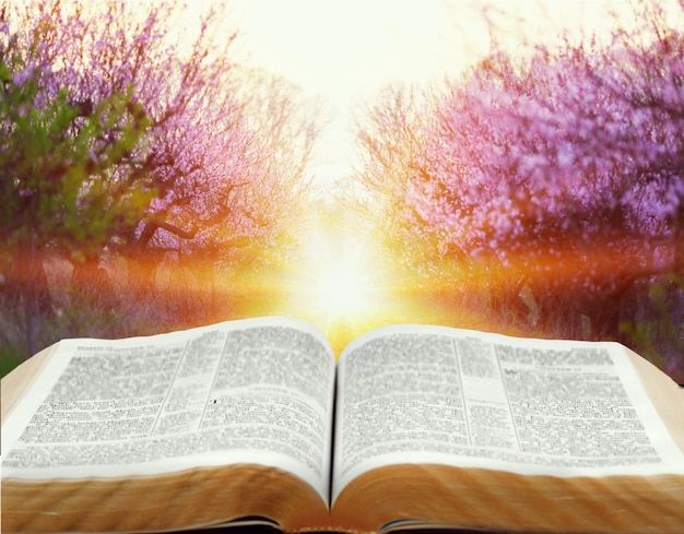 evangelio en versos (1)